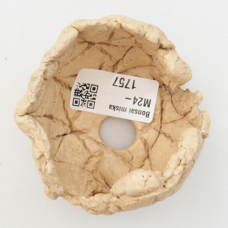 Keramische schelp 7 x 7 x 5 cm , kleur beige