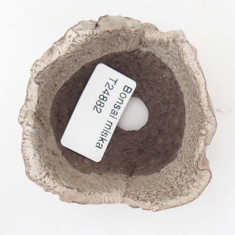 Keramische schelp 7 x 7 x 5 cm , grijze kleur