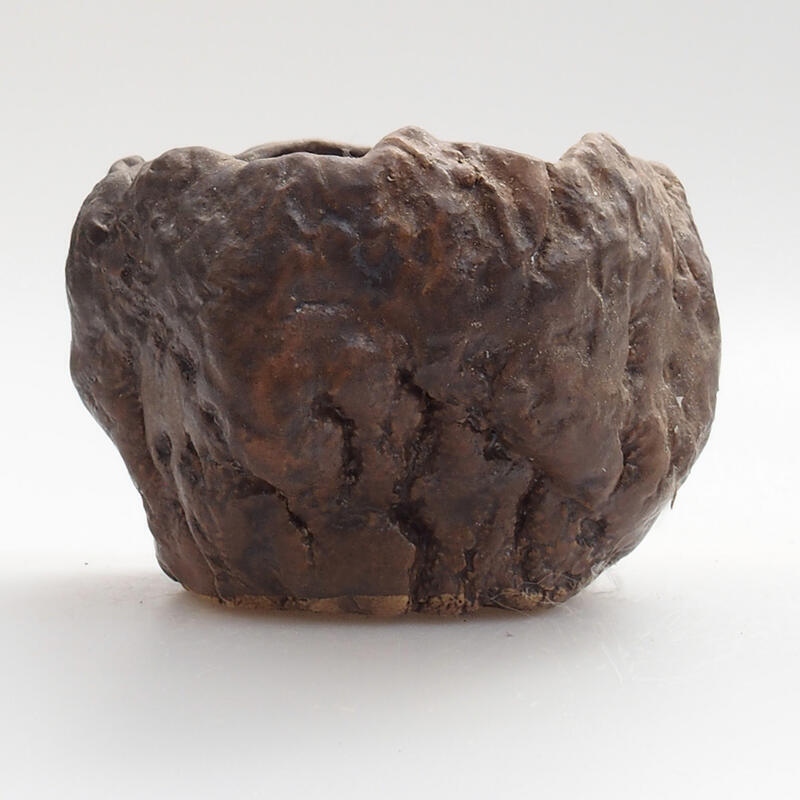 Keramische schelp 7 x 7 x 6 cm , kleur groenbruin