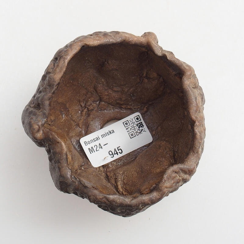 Keramische schelp 7 x 7 x 6 cm , kleur groenbruin