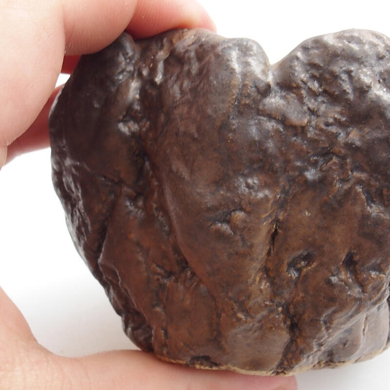 Keramische schelp 7 x 7 x 6 cm , kleur groenbruin