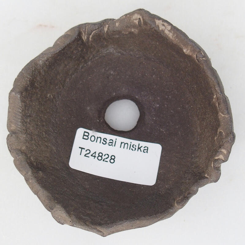 Keramisch Schelp 8,5 x 8 x 4 cm , kleur bruin