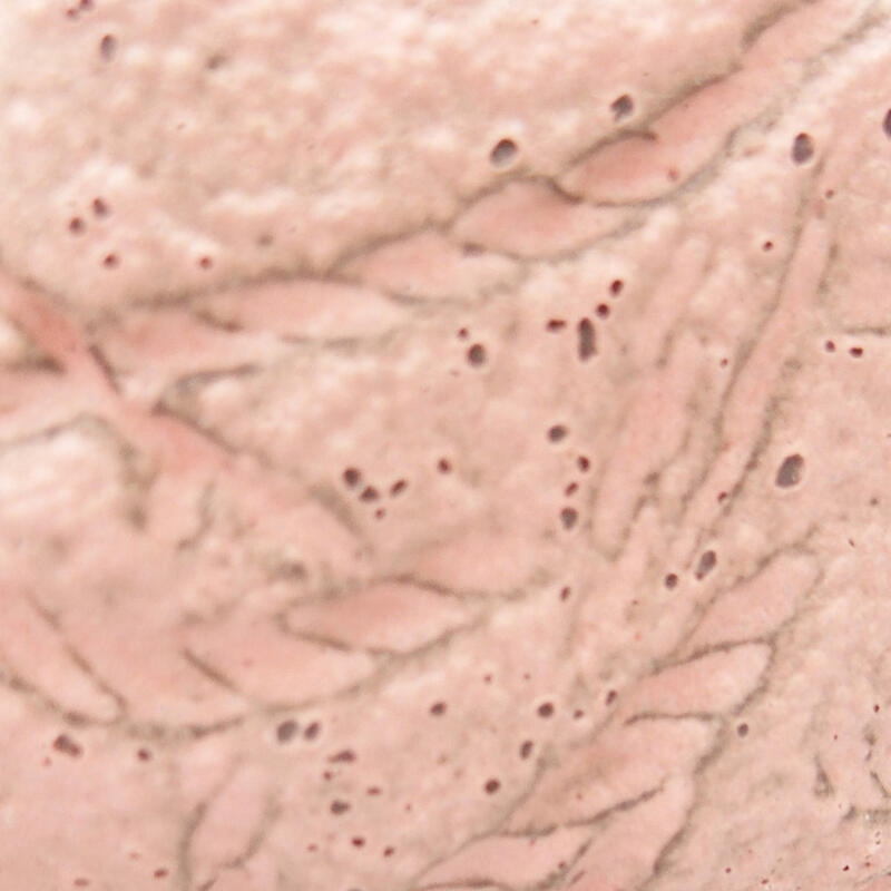 Schelp van keramiek 8,5 x 8 x 4 cm , kleur roze