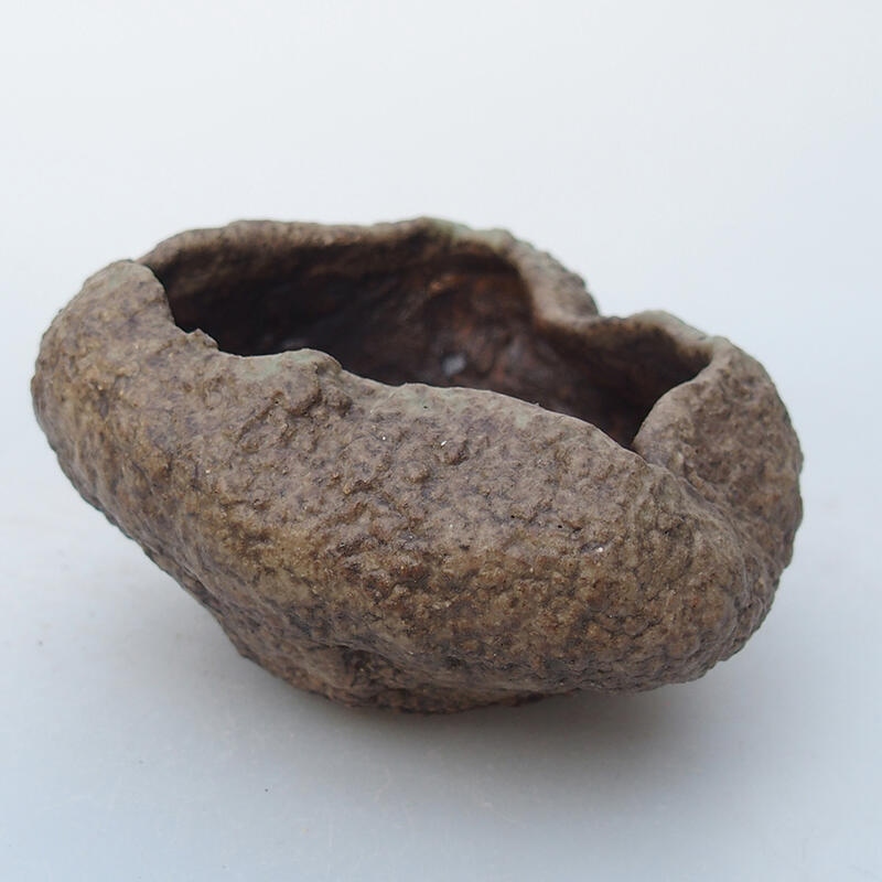 Keramisch Schelp 8,5 x 8 x 5 cm , kleur beige