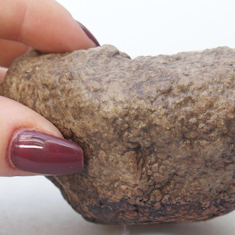 Keramisch Schelp 8,5 x 8 x 5 cm , kleur beige