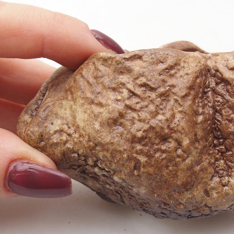 Keramische schelp 8 x 6 x 5 cm , kleur bruin