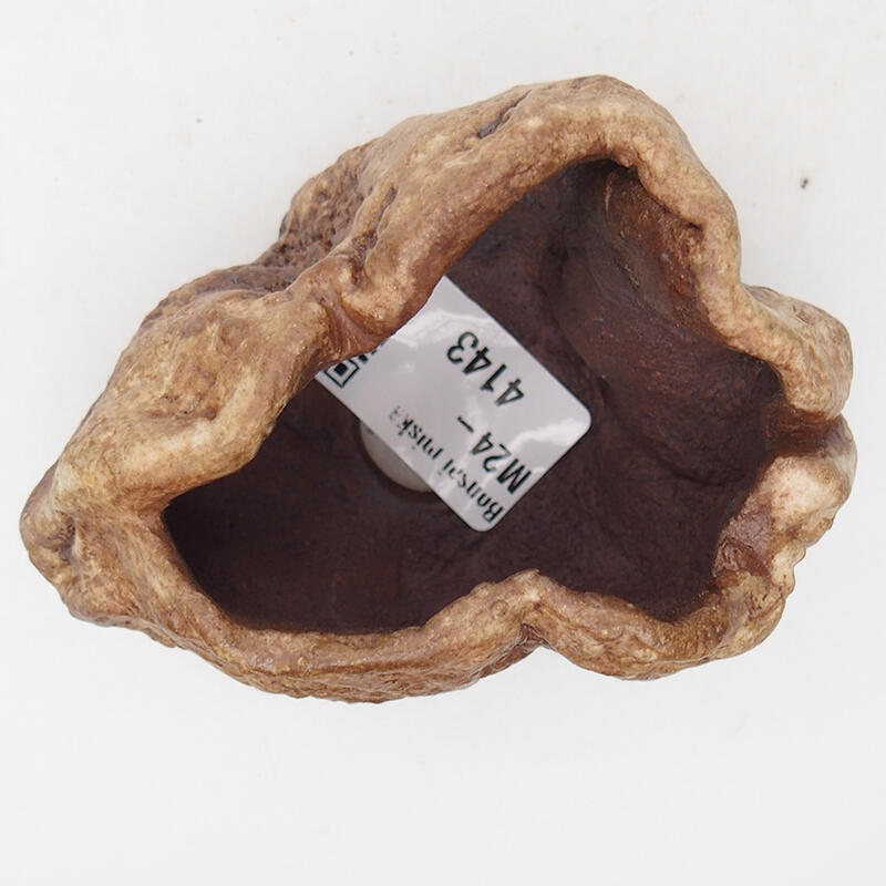 Keramische schelp 8 x 6 x 5 cm , kleur bruin