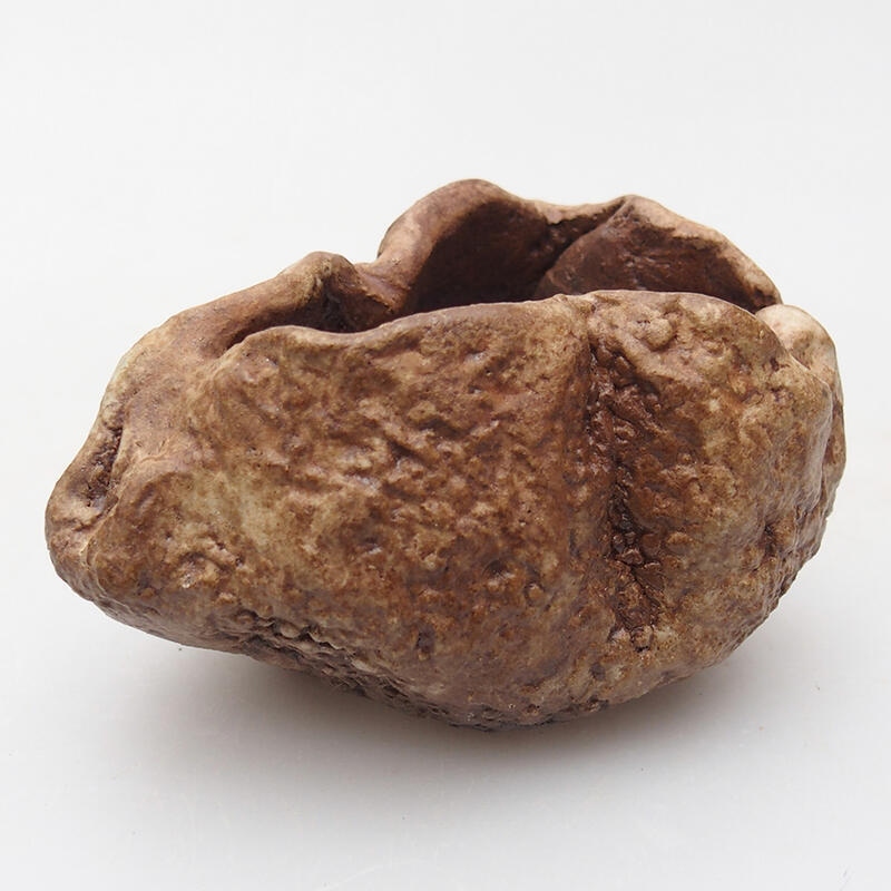 Keramische schelp 8 x 6 x 5 cm , kleur bruin