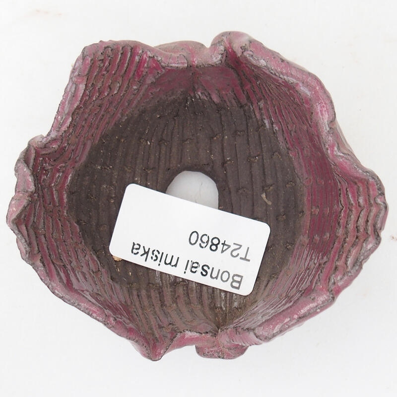 Schelp van keramiek 8 x 7,5 x 4,5 cm , kleur roze