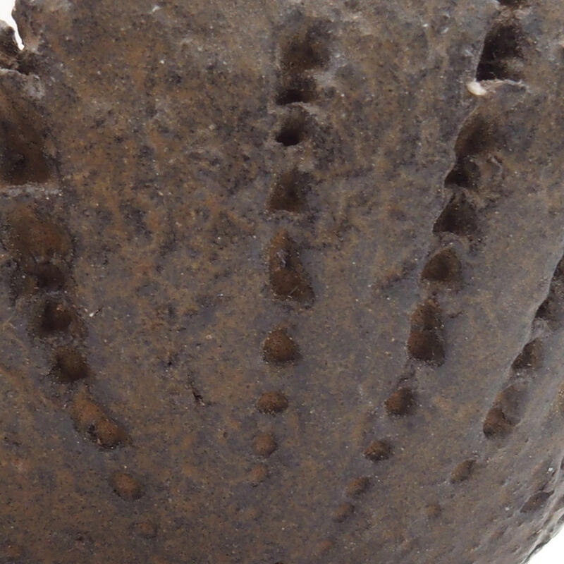 Keramisch Schelp 8 x 7,5 x 4 cm , kleur bruin