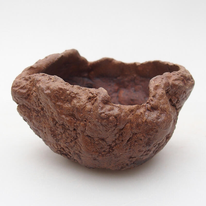 Keramisch Schelp 8 x 7,5 x 5,5 cm , kleur bruin