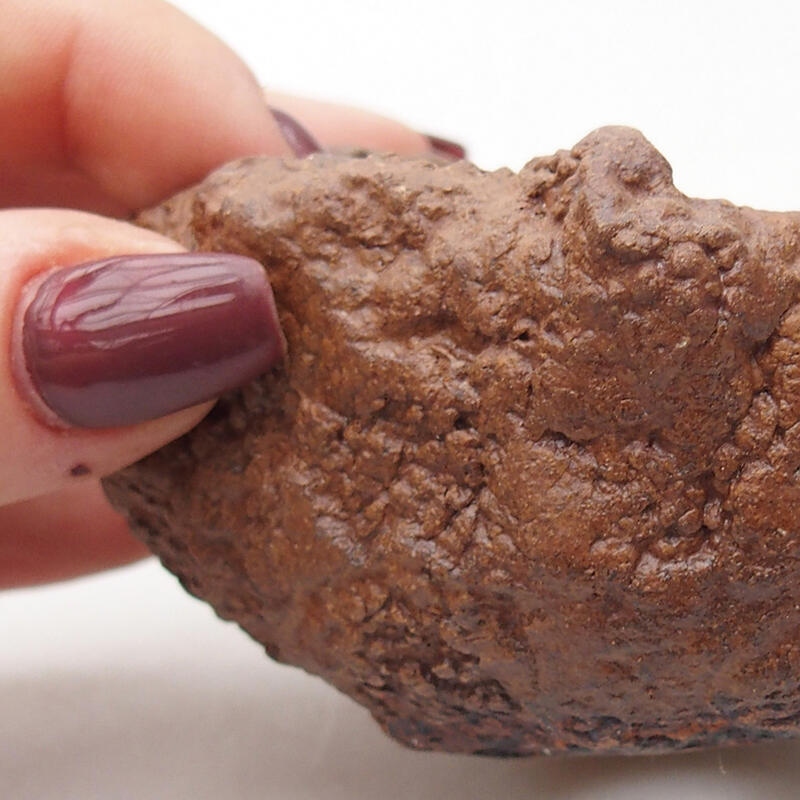 Keramisch Schelp 8 x 7,5 x 5,5 cm , kleur bruin