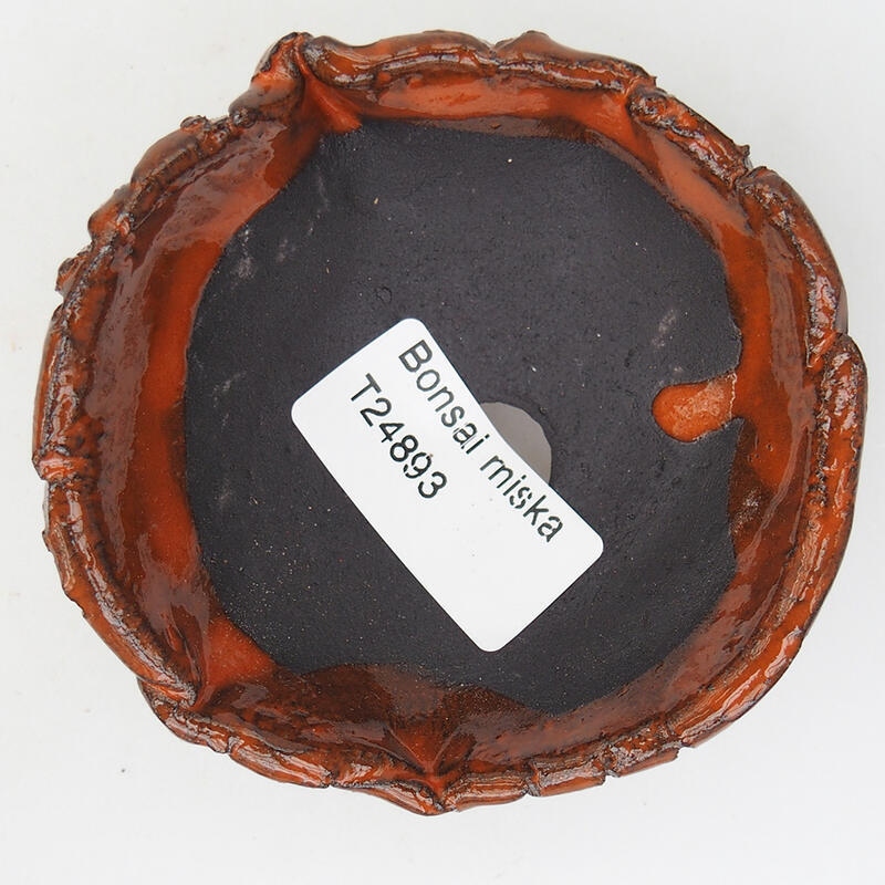 Schelp van keramiek 8 x 8 x 3,5 cm , kleur oranje