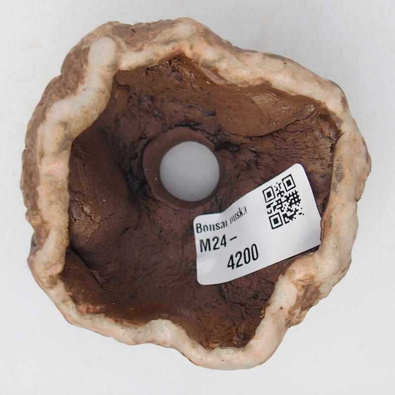 Keramische schelp 8 x 8 x 5 cm , kleur beige