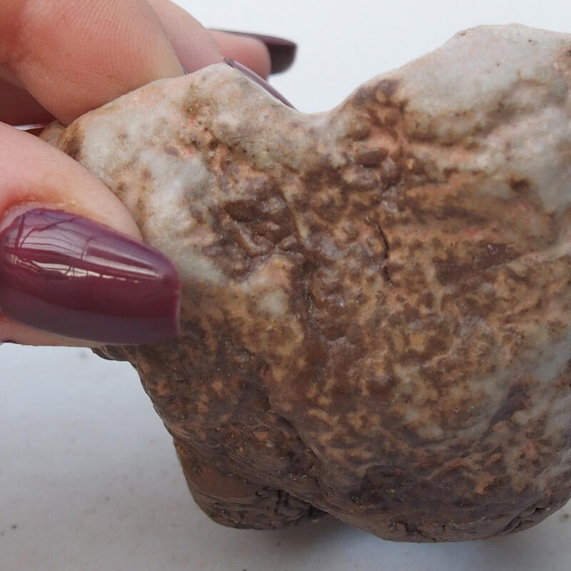 Keramische schelp 8 x 8 x 5 cm , kleur beige