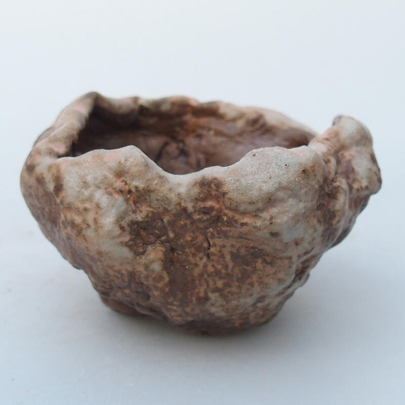 Keramische schelp 8 x 8 x 5 cm , kleur beige