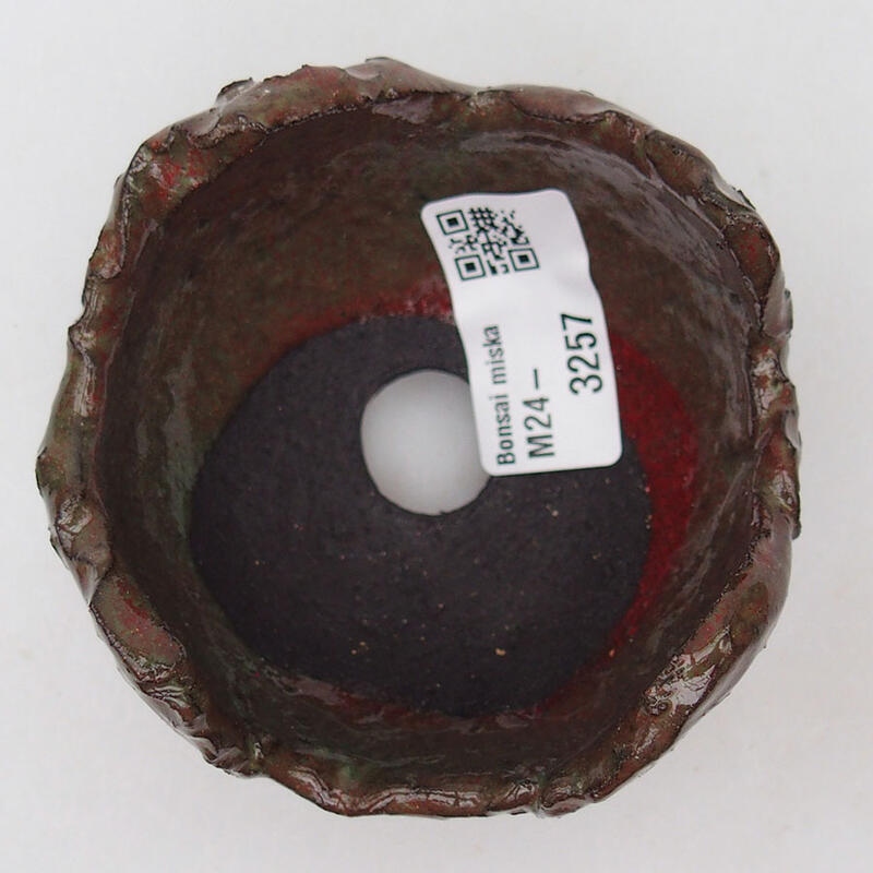 Keramische schelp 8 x 8 x 6 cm , kleur rood-groen