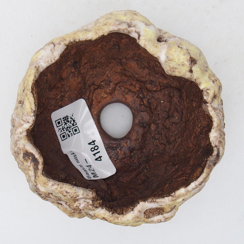 Schelp van keramiek 8 x 8 x 6 cm , geel