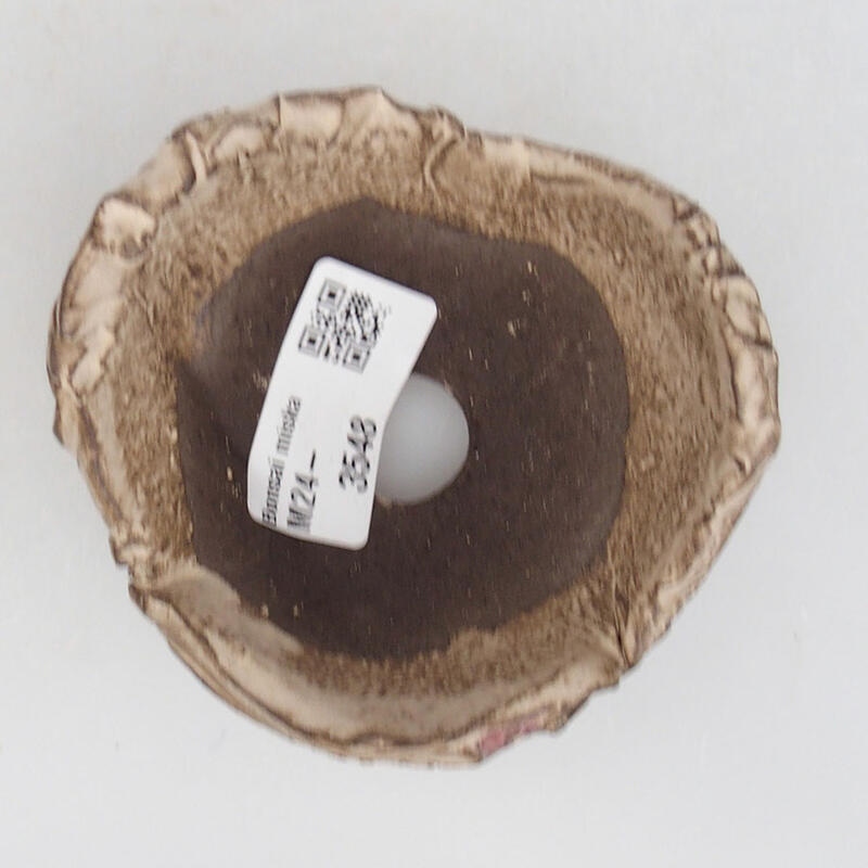 Keramisch Schelp 9 x 8,5 x 5,5 cm , kleur beige