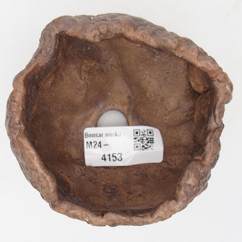 Keramisch Schelp 9 x 8,5 x 6 cm , kleur bruin