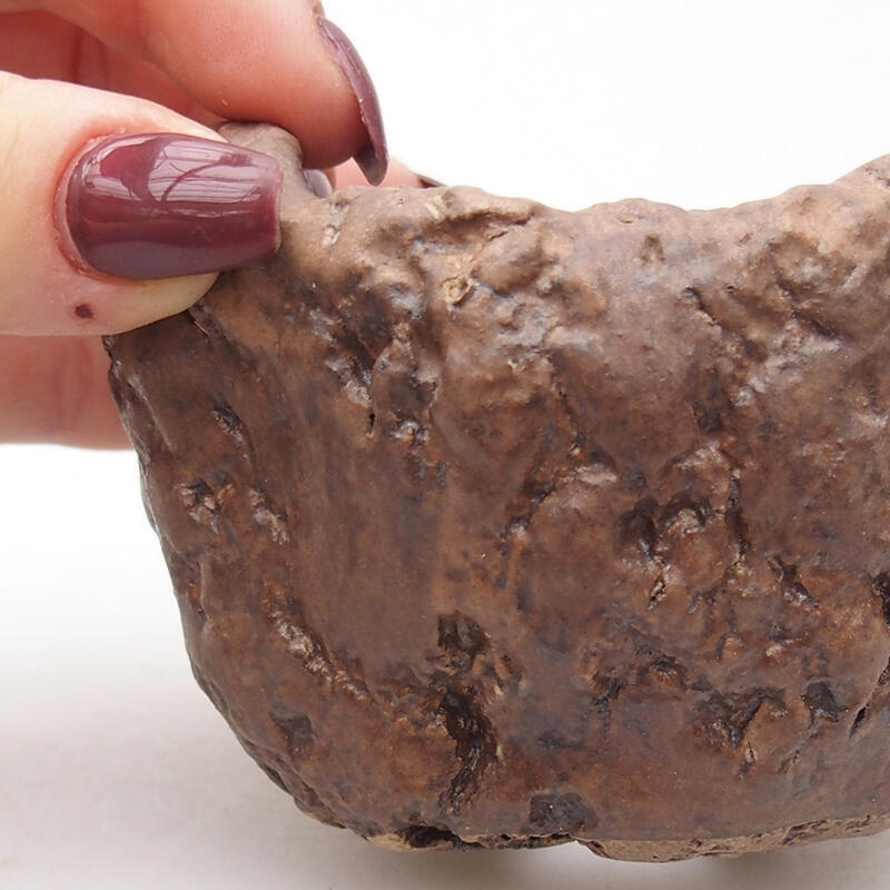 Keramisch Schelp 9 x 8,5 x 6 cm , kleur bruin