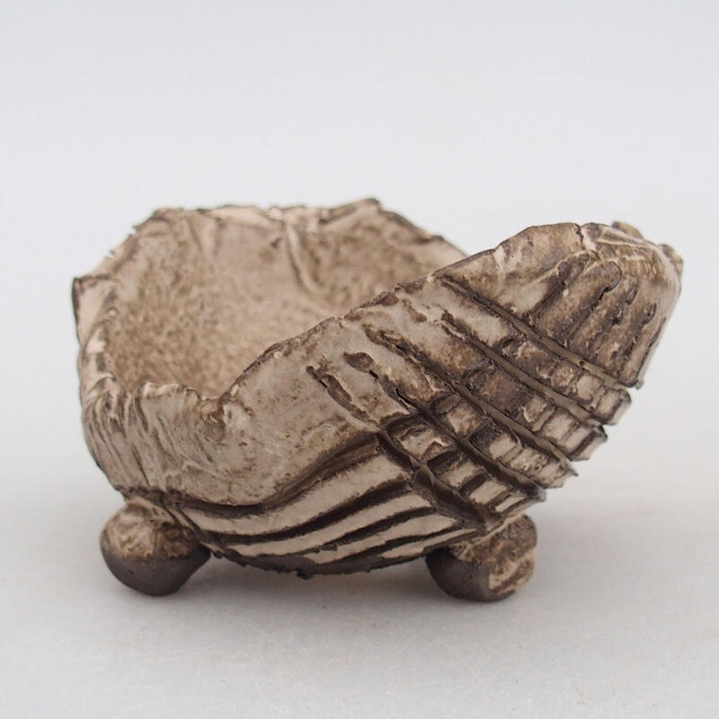 Keramisch Schelp 9 x 8 x 5,5 cm , kleur beige