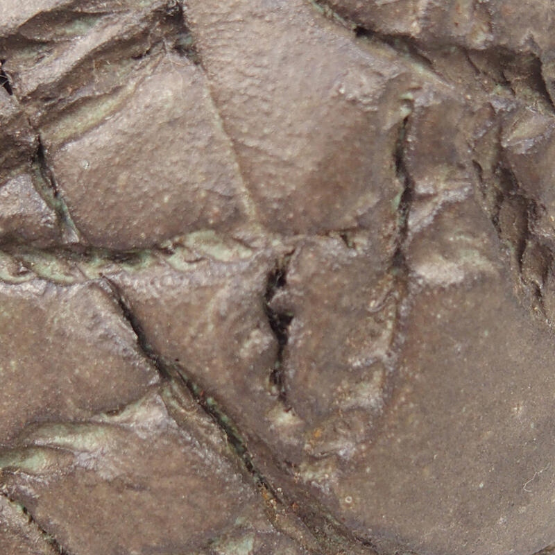 Keramisch Schelp 9 x 8 x 5,5 cm , kleur bruin