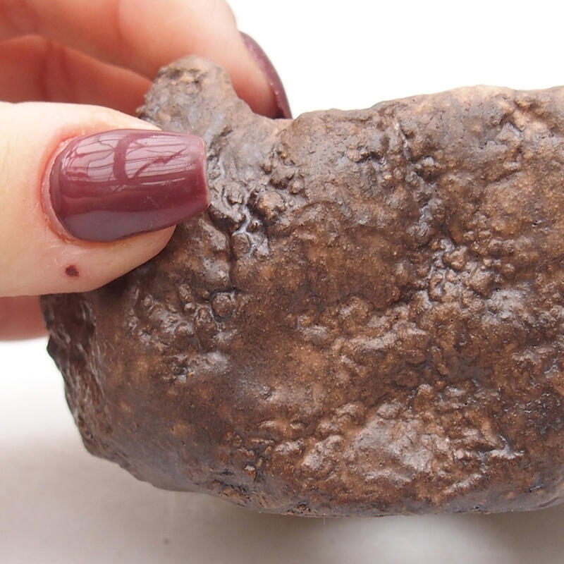 Keramisch Schelp 9 x 8 x 5 cm , kleur bruin