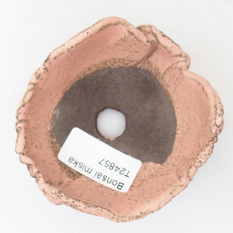 Keramische schelp 9 x 8 x 5 cm , kleur roze