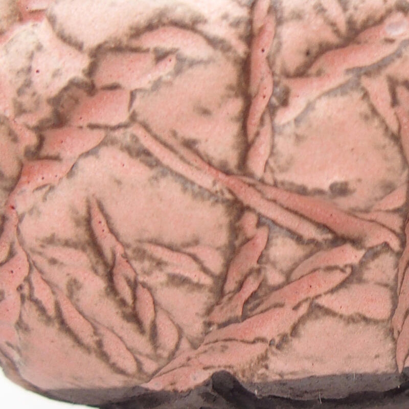 Keramische schelp 9 x 8 x 5 cm , kleur roze