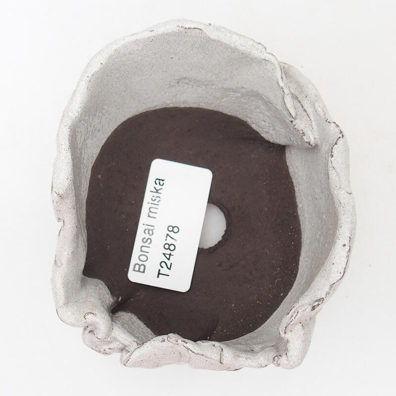 Keramische schelp 9 x 8 x 6 cm , grijze kleur