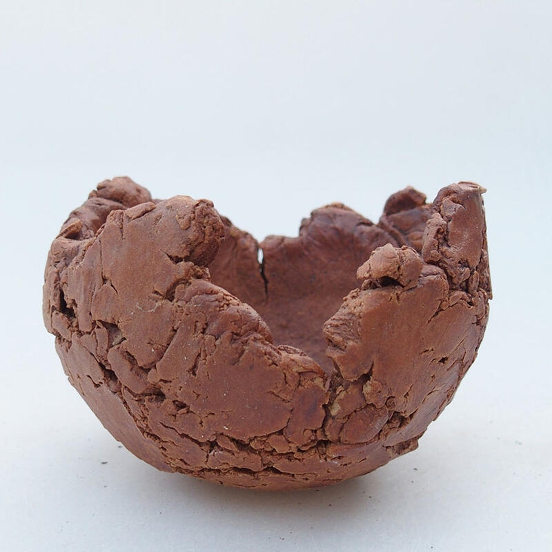 Keramisch Schelp 9 x 9 x 6,5 cm , kleur bruin