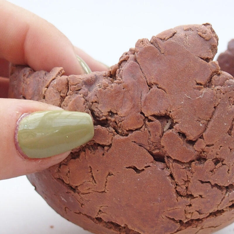 Keramisch Schelp 9 x 9 x 6,5 cm , kleur bruin