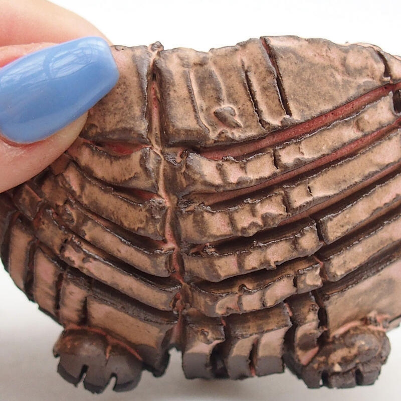 Schelp van keramiek 9 x 9 x 6 cm , kleur roze