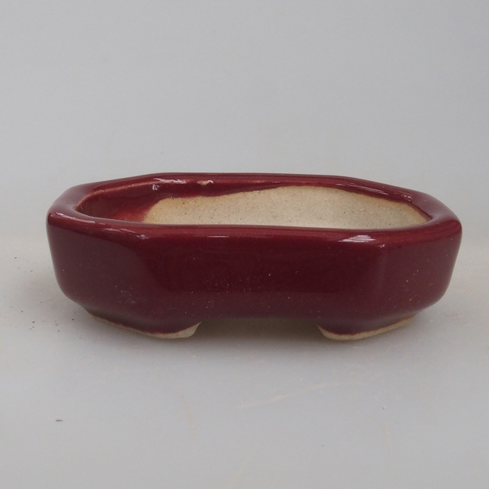 Mini bonsaischaal 5,5 x 4 x 1,5 cm, kleur bordeauxrood