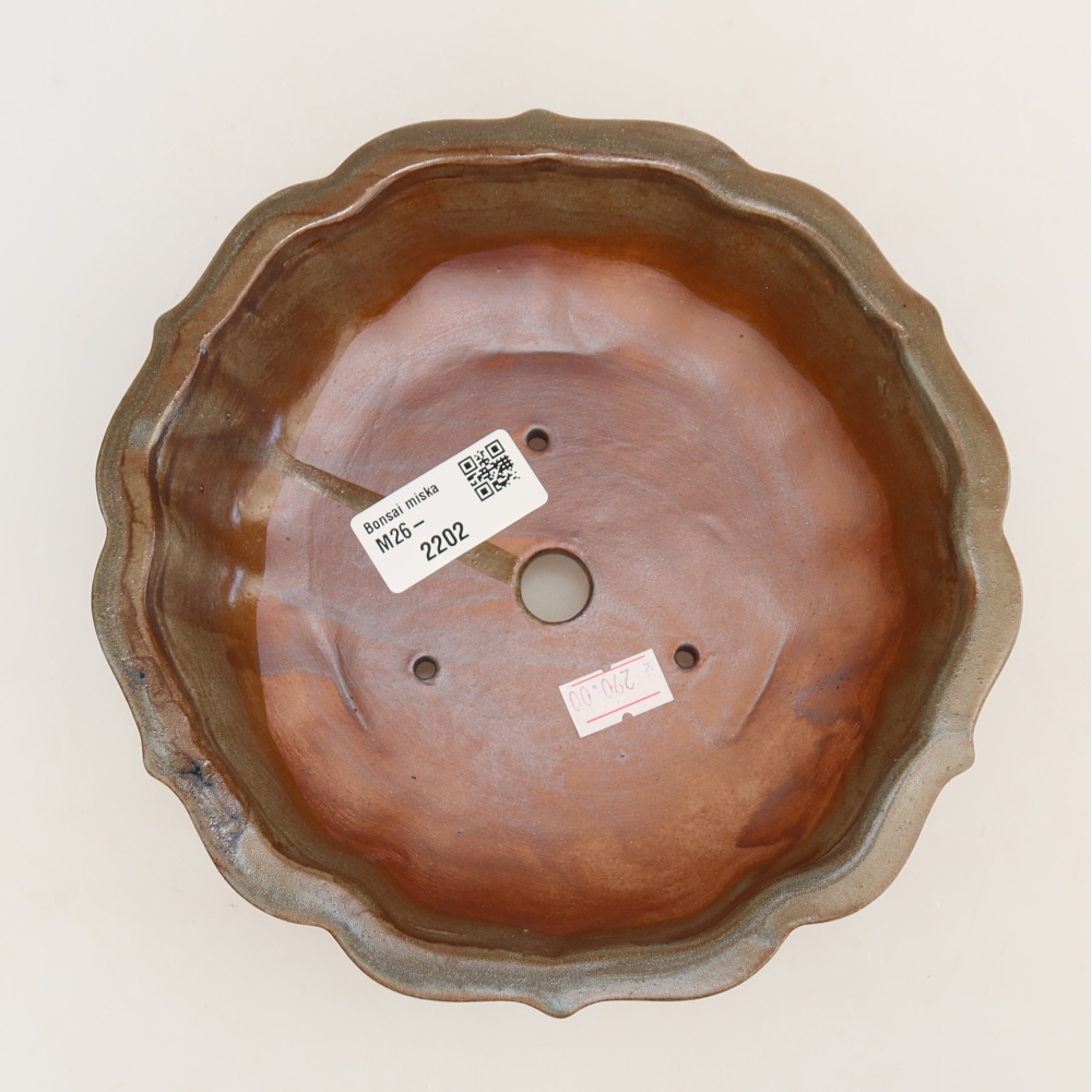 Bonsaischaal van keramiek 18,5 x 18,5 x 5 cm, bruin