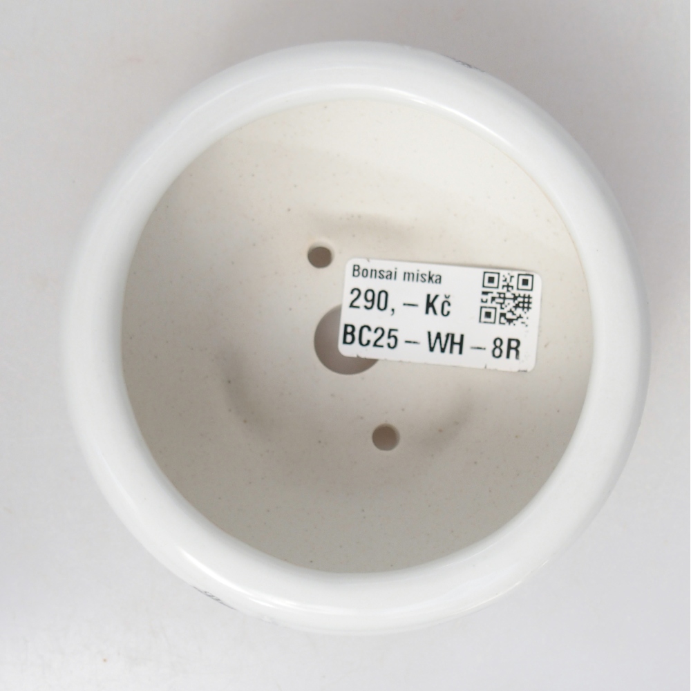 Bonsaischaal van keramiek 10 x 10 x 5 cm, kleur wit