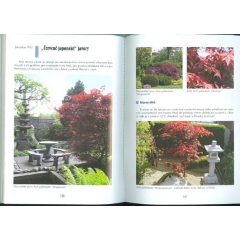 Boek van bonsai niet alleen in de paneelwoning