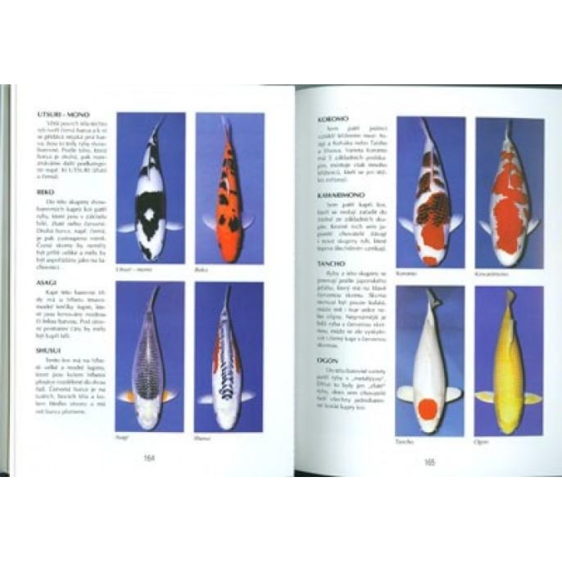 Boek van bonsai niet alleen in de paneelwoning