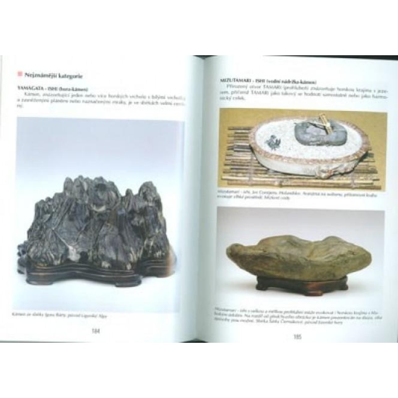 Boek van bonsai niet alleen in de paneelwoning