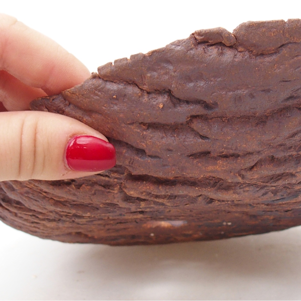 Keramisch Schelp 22 x 18,5 x 6,5 cm , kleur bruin