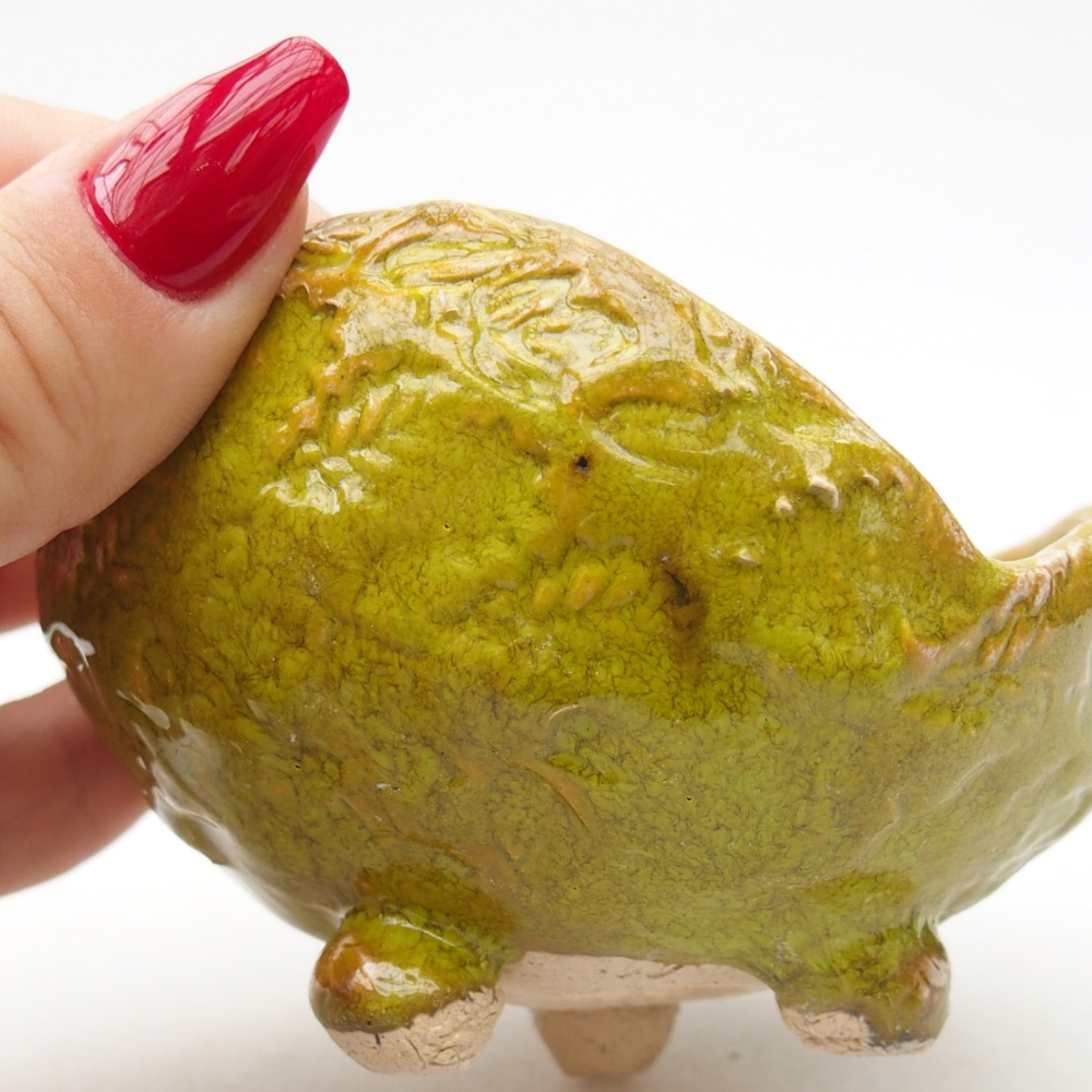 Keramisch Schelp 9 x 8,5 x 5,5 cm , kleur groen