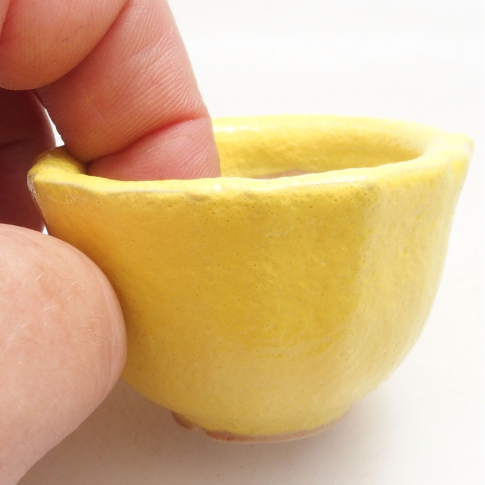 Bonsaischaaltje van keramiek 5 x 5 x 3 cm, geel