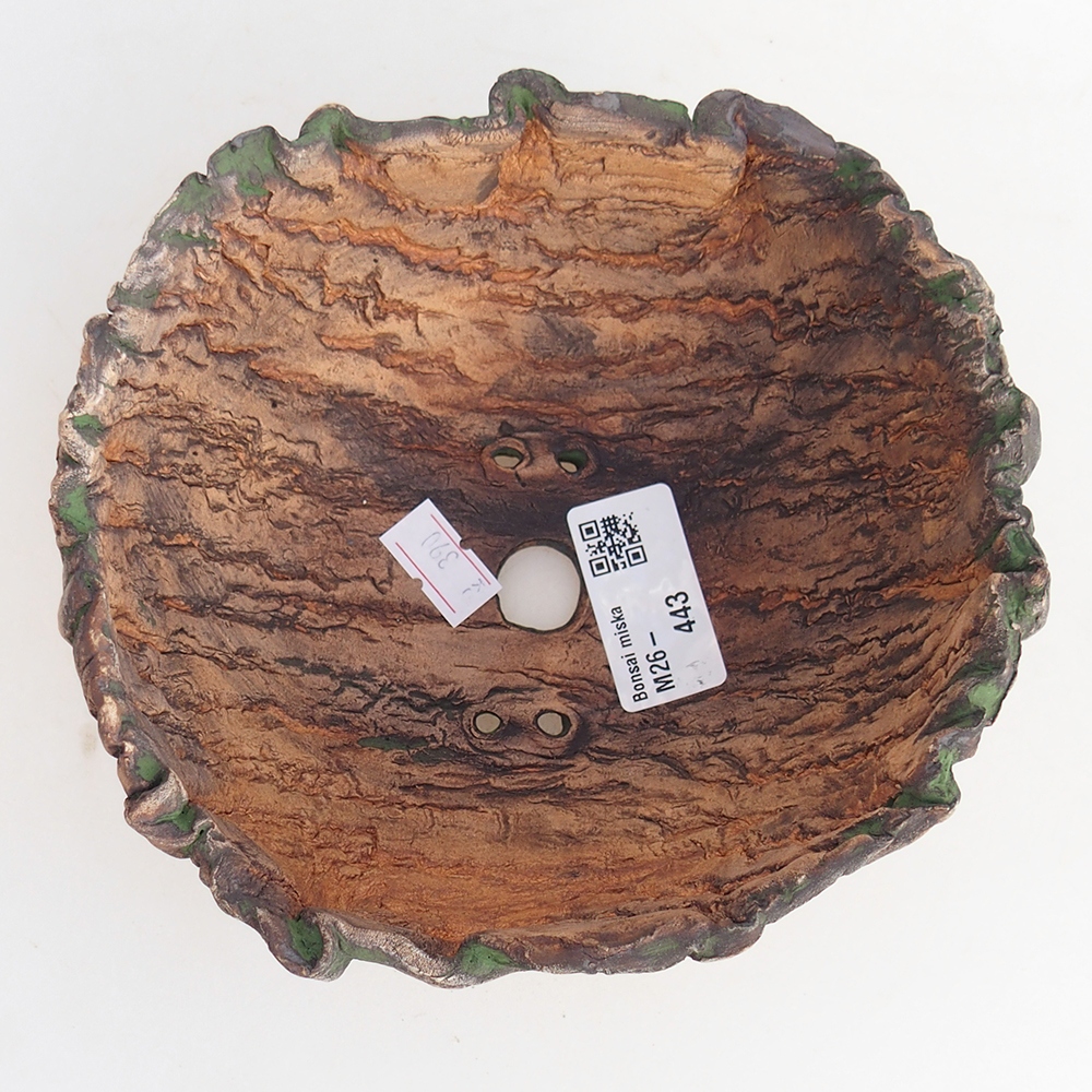 Keramische schelp 15 x 14 x 7 cm , kleur groen