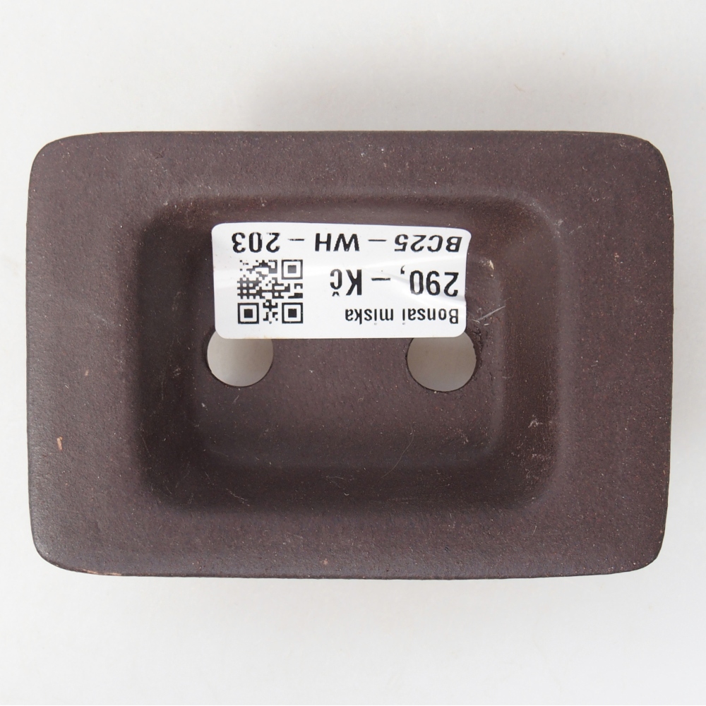 Mini bonsaischaal 9,5 x 6,5 x 3 cm, bruin