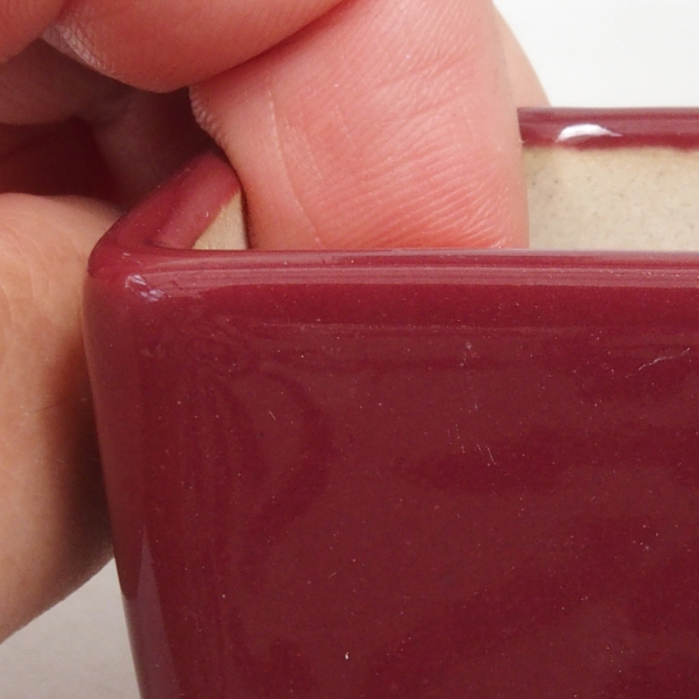 Mini bonsaischaal 4,5 x 4,5 x 4,5 cm, bordeauxrood