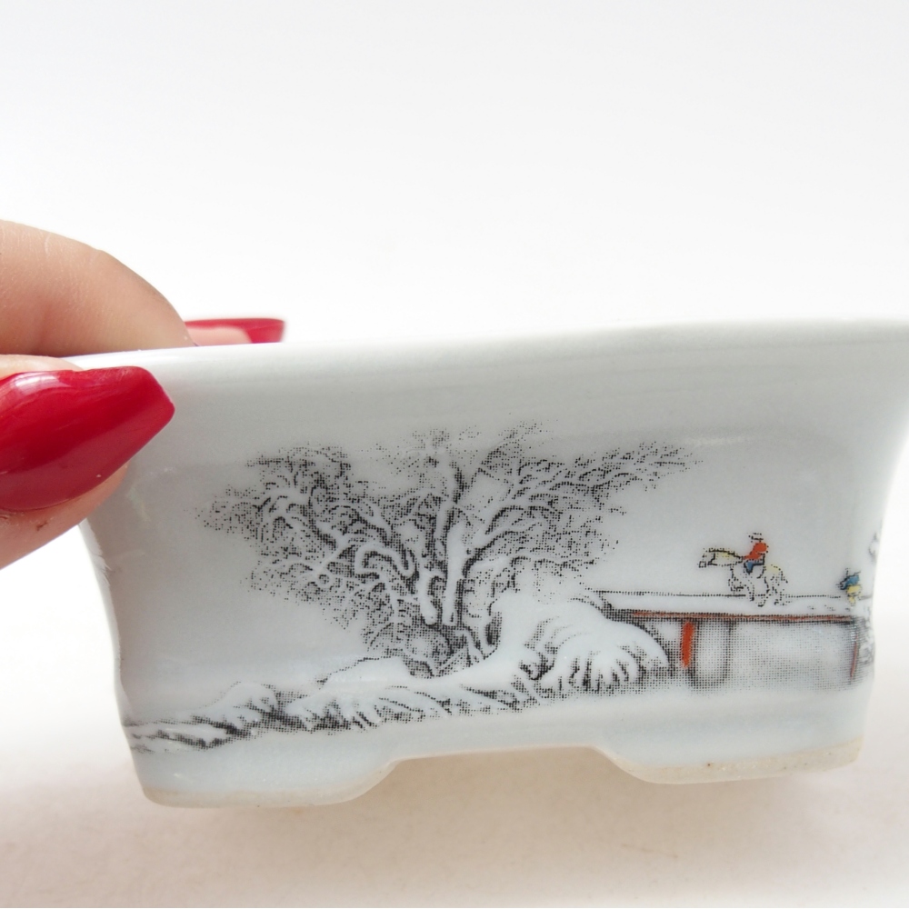 Mini bonsaischaal 10 x 7,5 x 4 cm, kleur wit