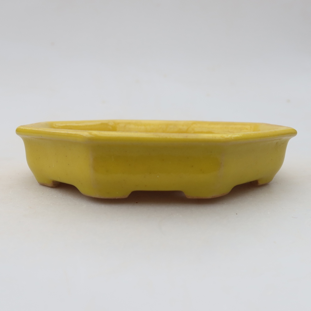 Keramische bonsaischaal 11,5 x 11,5 x 2,5 cm, kleur: geel
