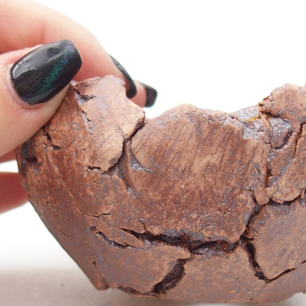 Keramisch Schelp 9 x 9 x 5,5 cm , kleur bruin