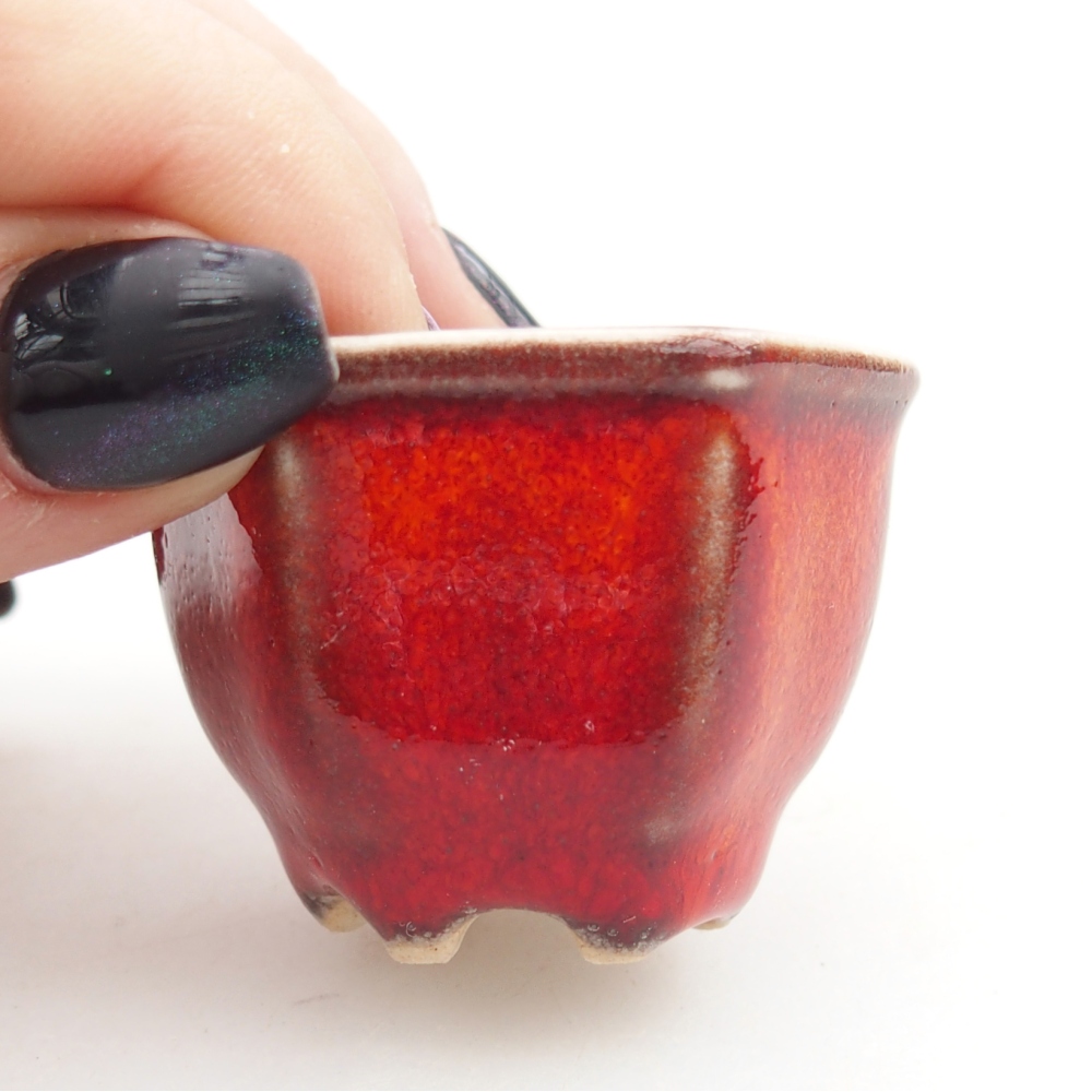 Mini bonsaischaal 4 x 4 x 3 cm, kleur rood